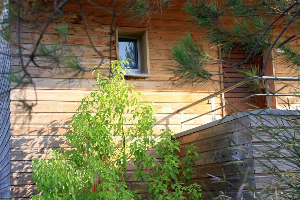 Appartement 2 Chambres n° 1 (5 Adultes)