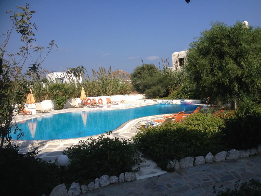 Budget Studio with Pool View