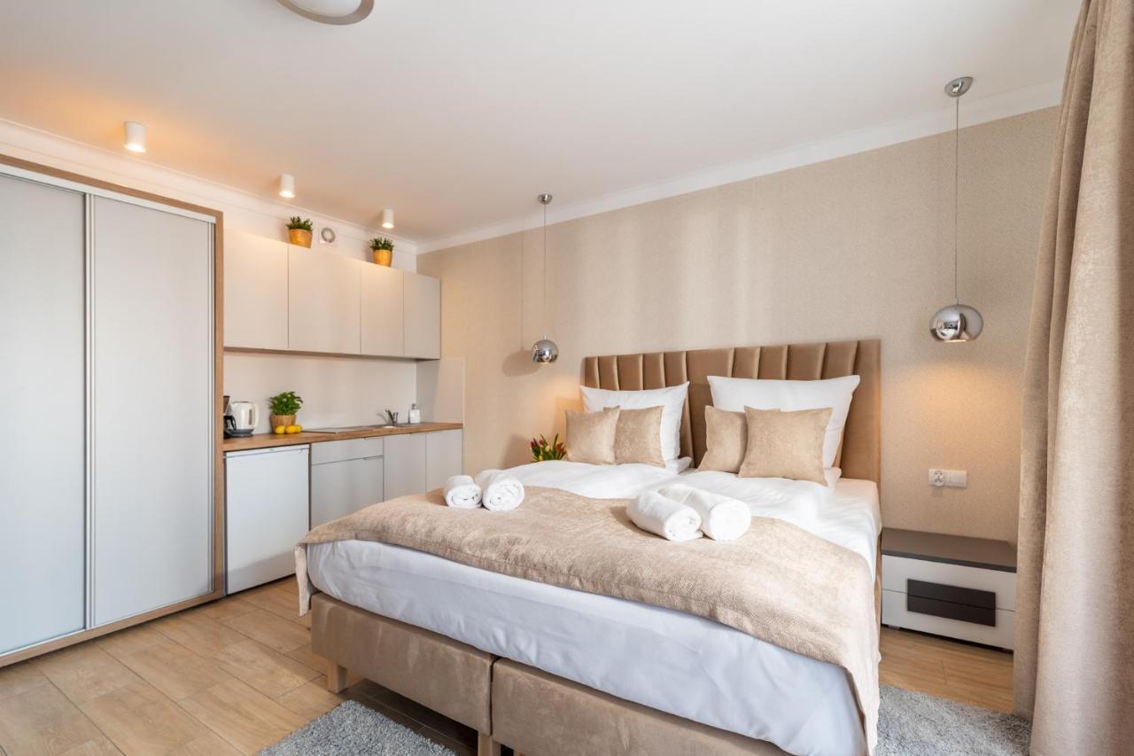 Deluxe Apartment Two People Kitchenette