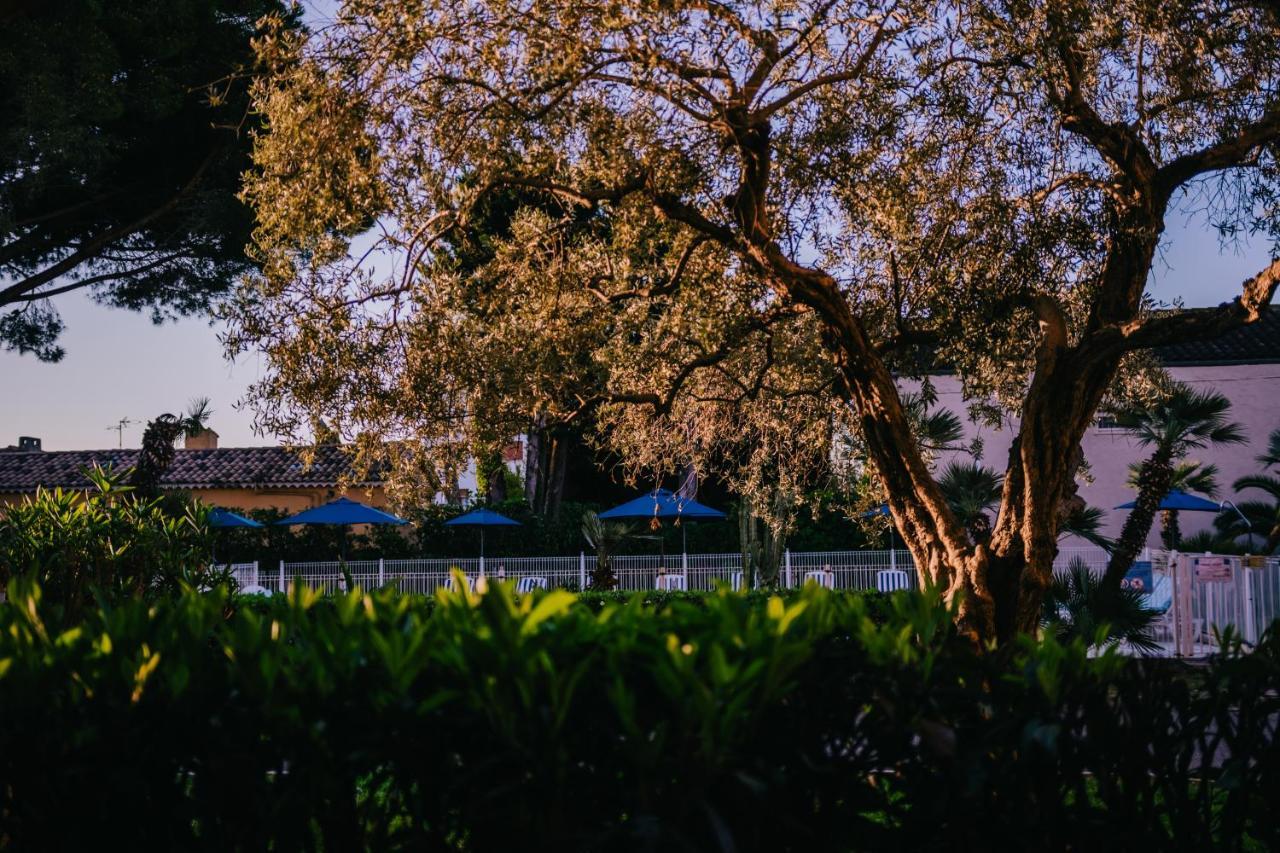 Apartment Garden View