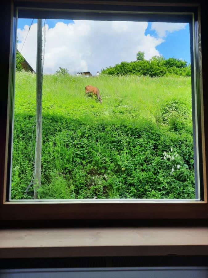 Double Room,1542158218:JPEG