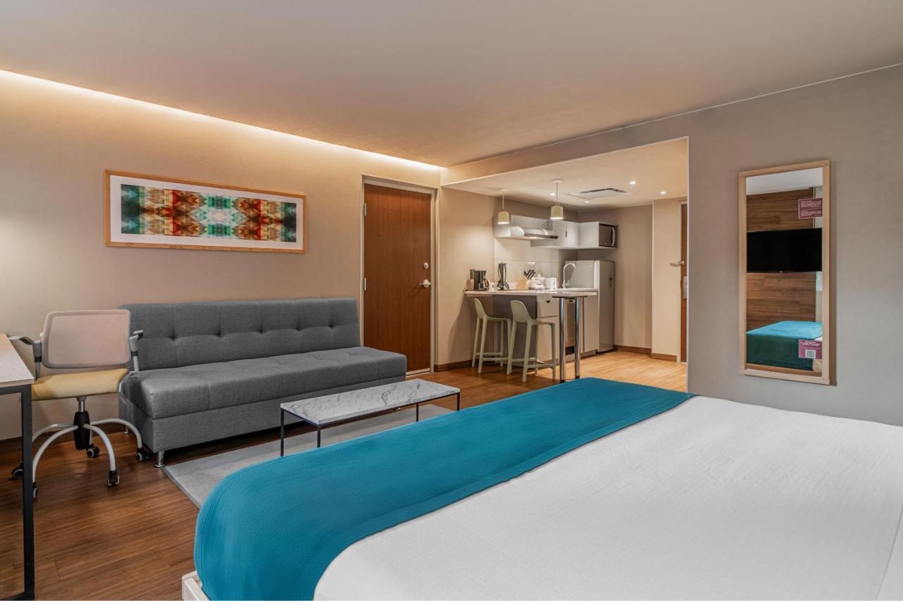 Suite con cama extragrande y sofá cama