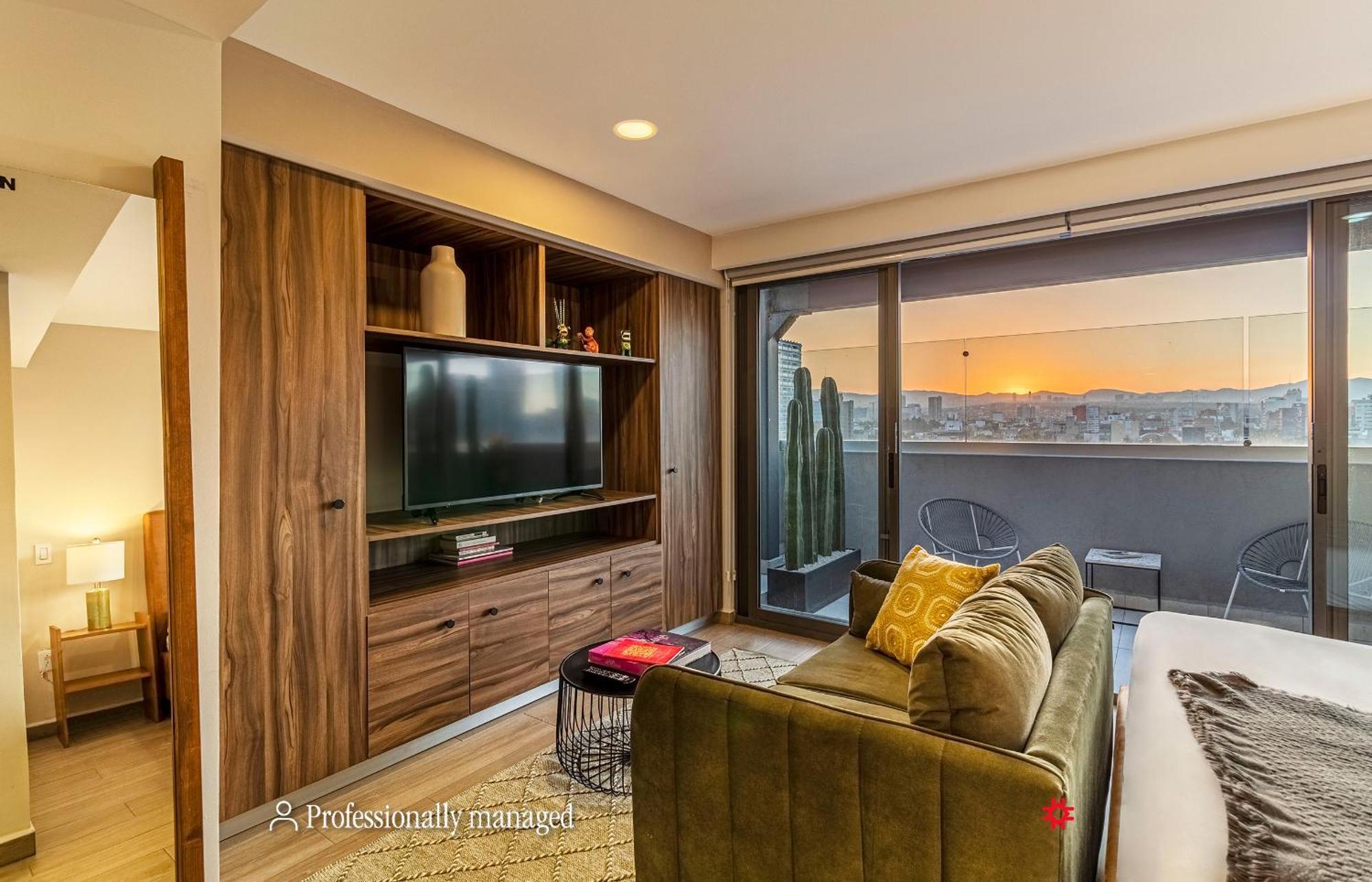 Penthouse One bedroom penthouse with balcony and city view,1516948954:JPEG