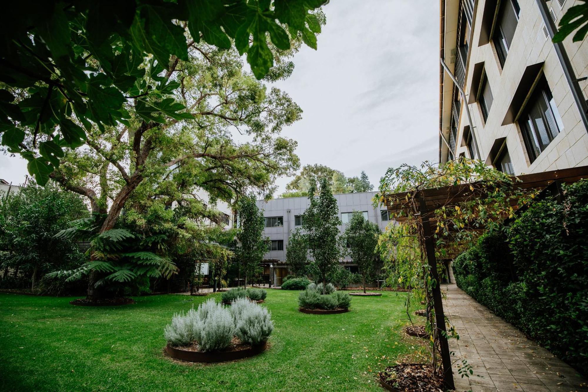 Premium One-Bedroom Apartment