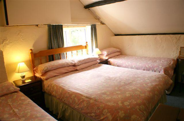 Large One-Bedroom Cottage,236487253:JPEG