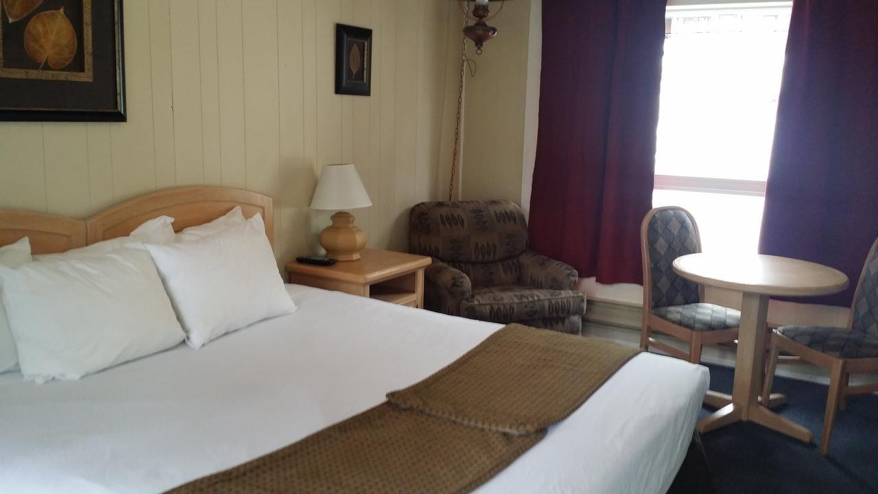 King Room (Not Pet-Friendly)