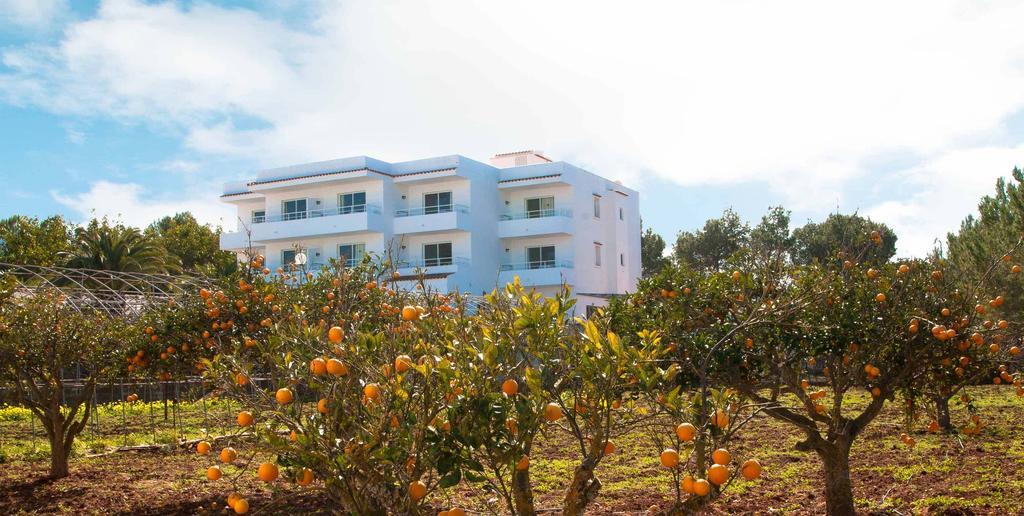 One-Bedroom Apartment with Balcony And See View