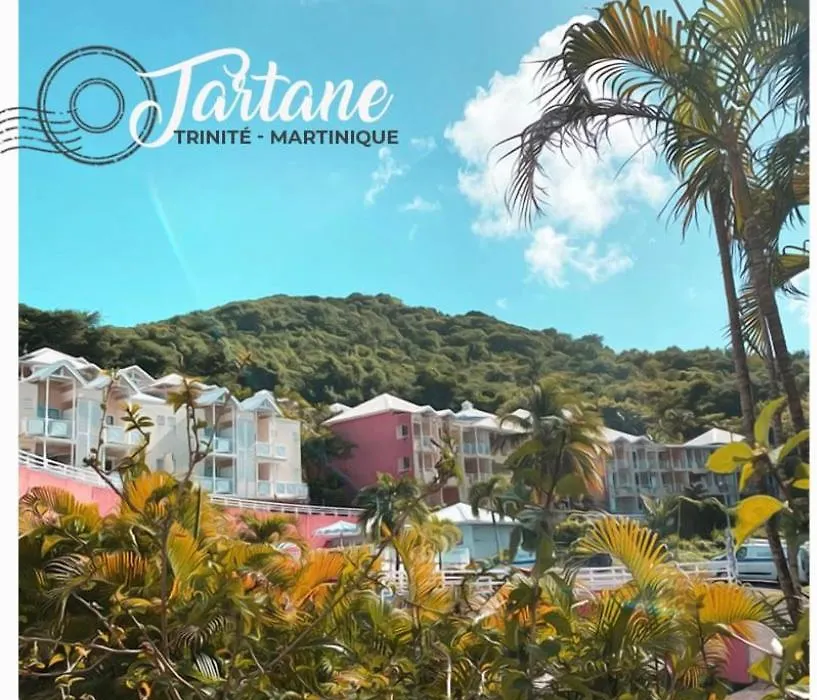 Résidence de la baie - BLEU SOLEIL TARTANE-1