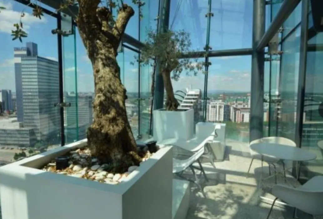City Sky Place-1