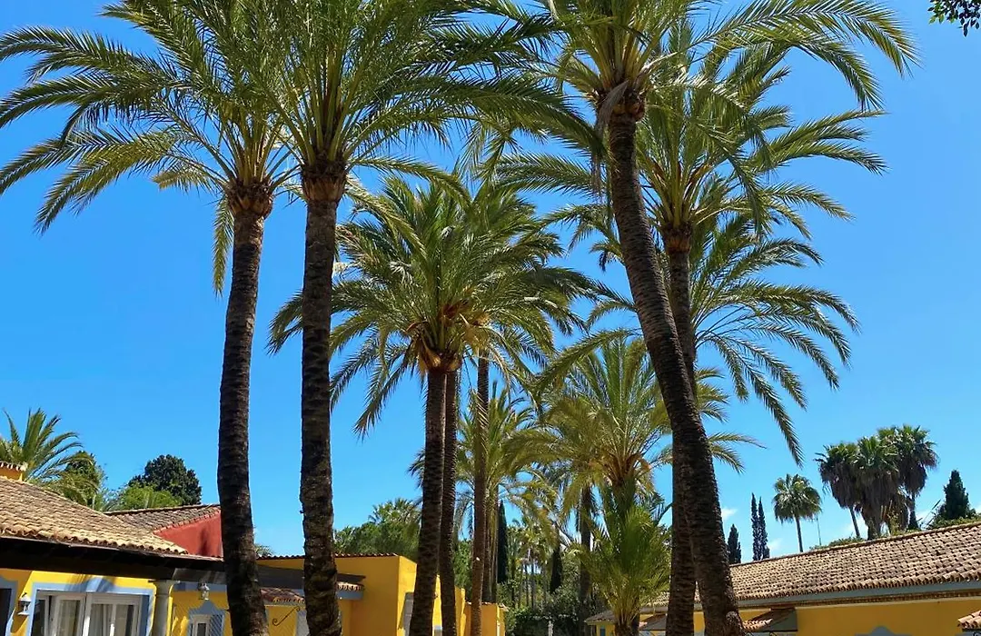 Cortijo La Saleta Banus-1