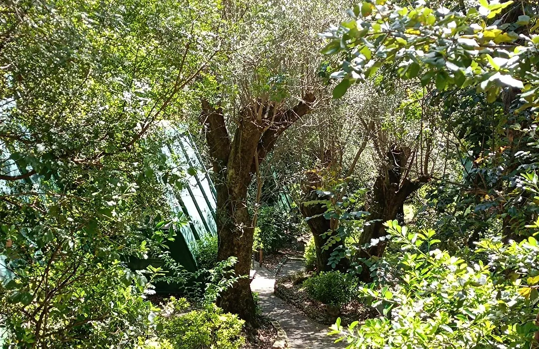 La Francesca Sud un villaggioglamping-1