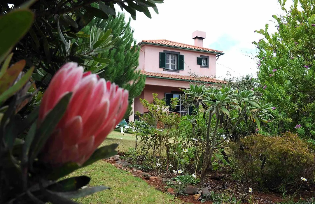 Quinta Santo Antonio Da Serra-1
