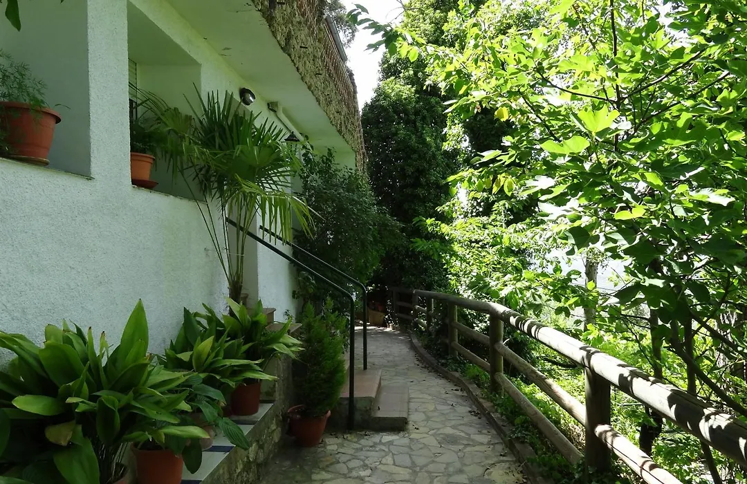 Apartamentos Arroyo Parrilla-1