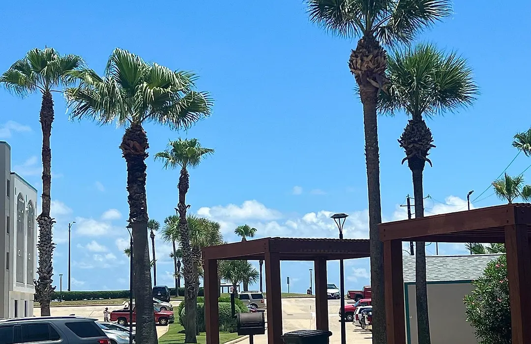 Cozy Galveston Beach Front Condo-1