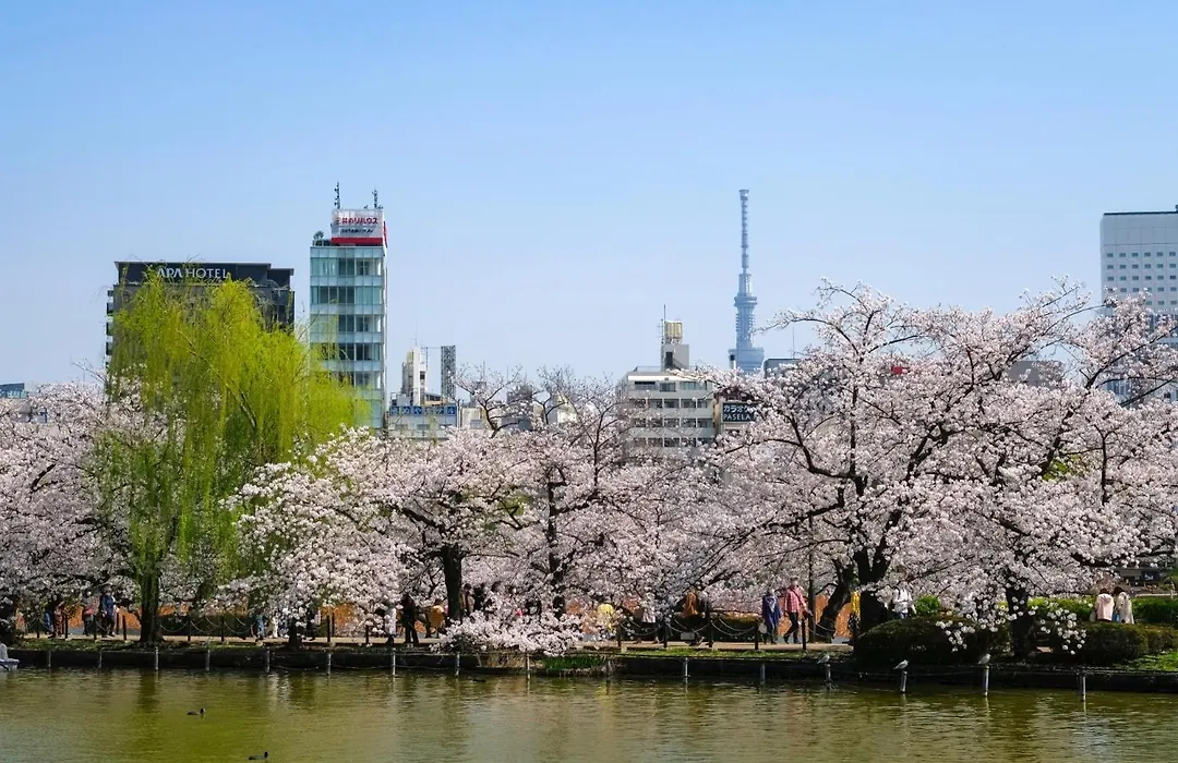 Stayme The Hotel Ueno Ekimae-1