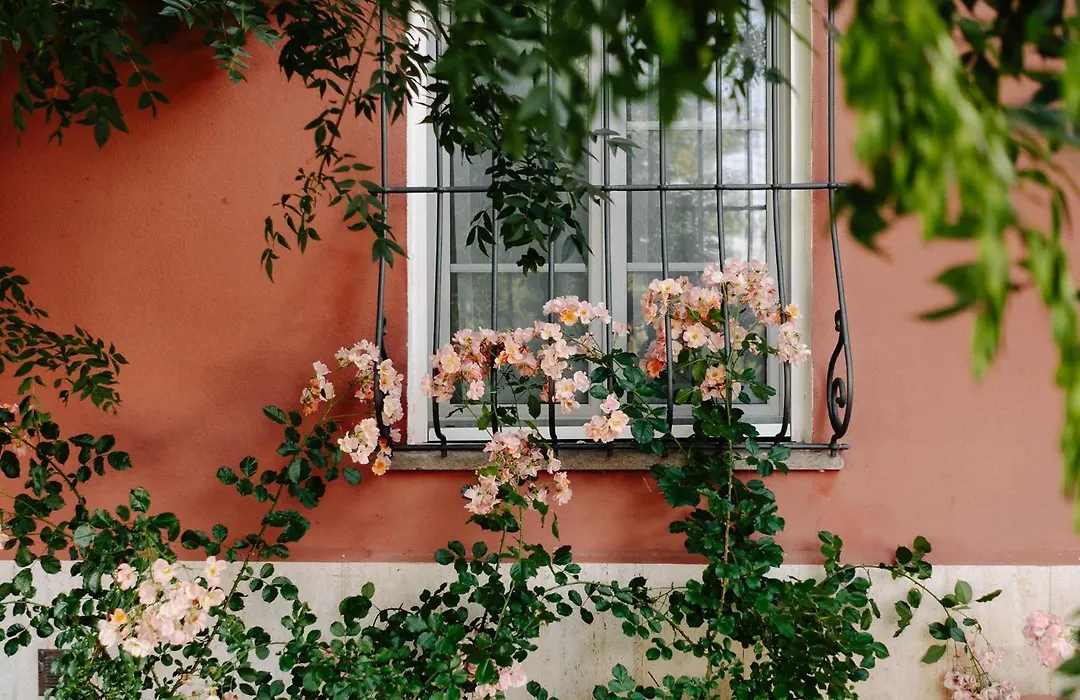 Il Casale delle Rose-1