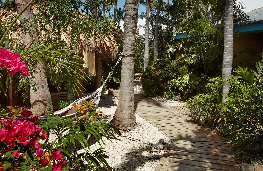 Paradera Park Aruba-1