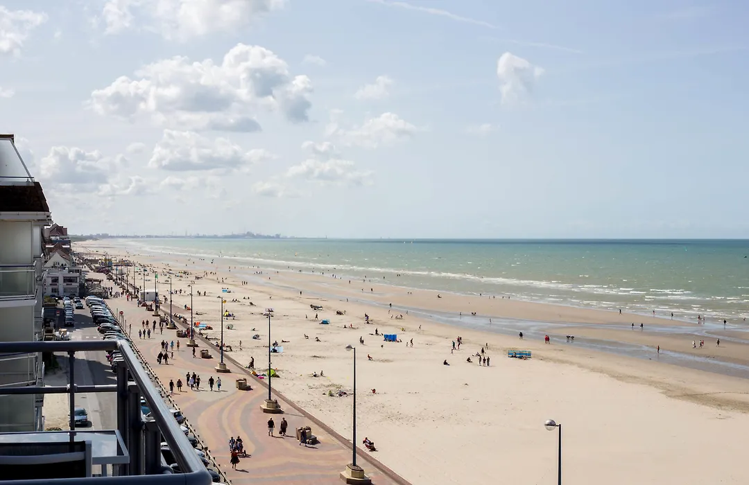 Evancy Etoile de Mer-1