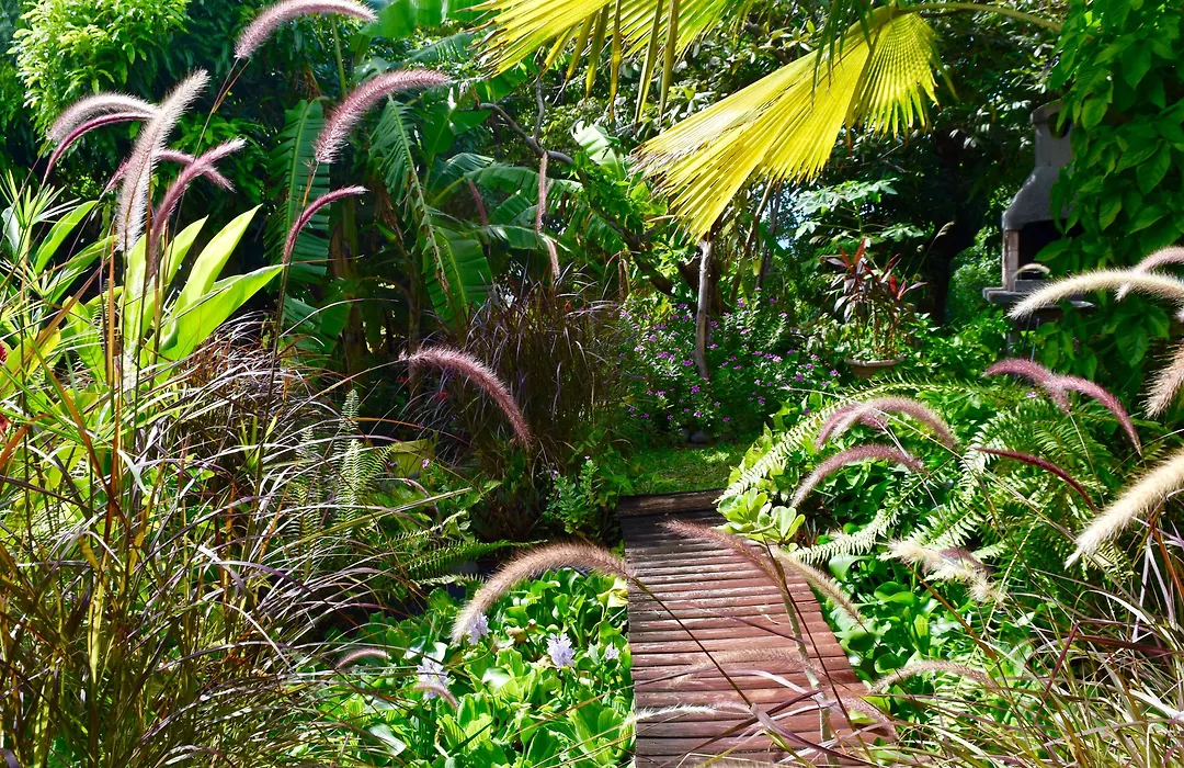 Résidence Paradis Tropical-1