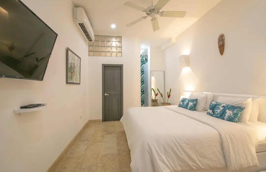 El Cactus Luxury Apartments In Historic Center-1