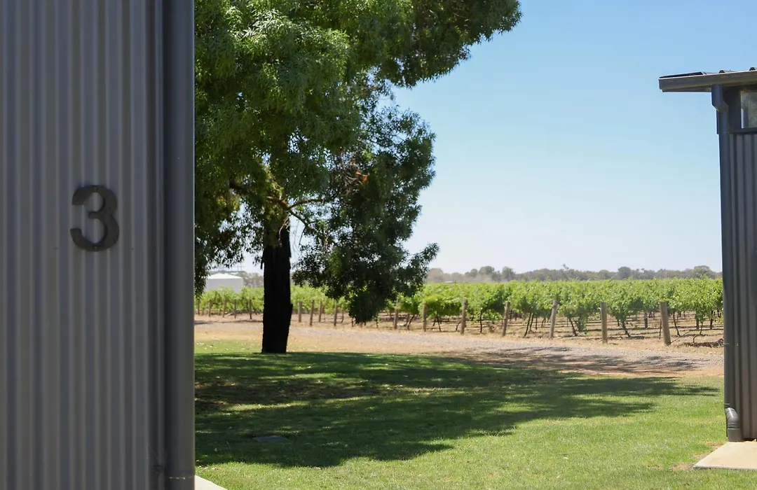 Buller Wines-1