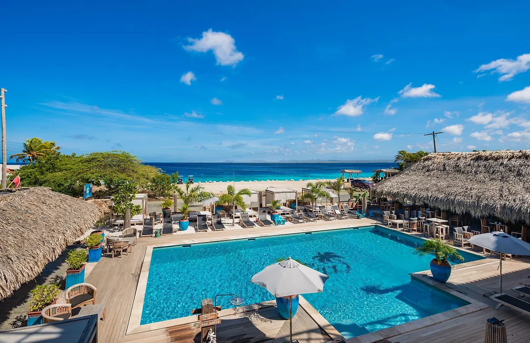 Bloozz Resort Bonaire-1