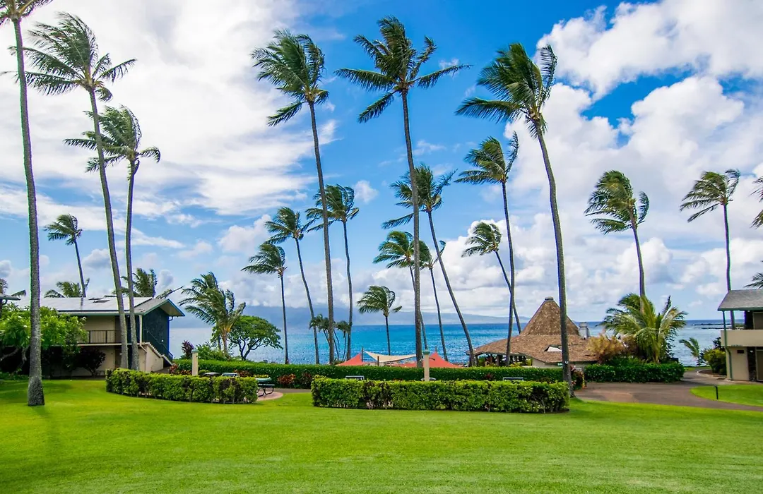 Napili Shores Maui By Outrigger - No Resort & Housekeeping Fees-1