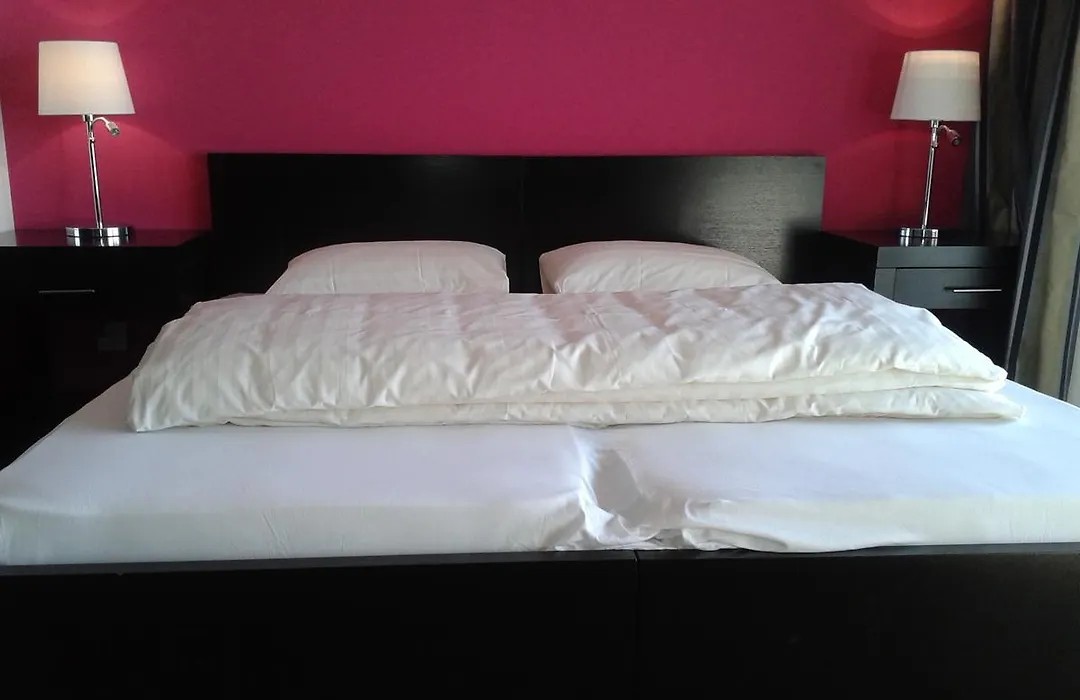 Hotel Swiss Bellevue-1