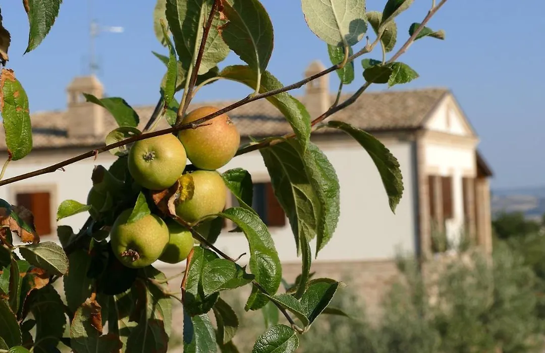 Residence Colle Veroni-1