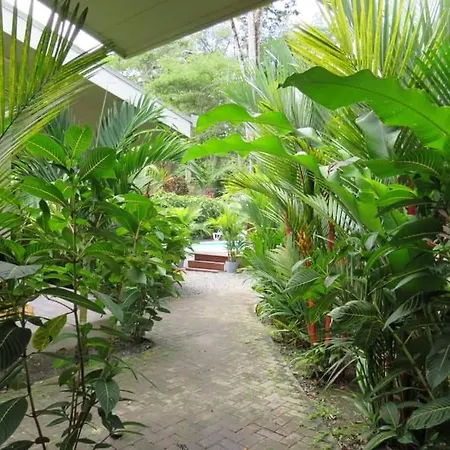 Alloro Jungle Villas-3