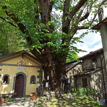 Residence Le Polle-3