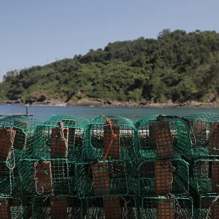 El Faro Unkempt - Tazones-3