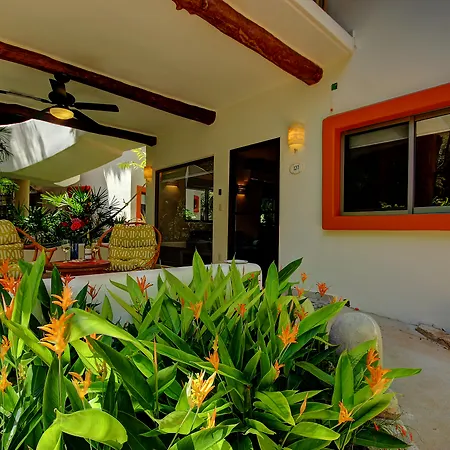 Riviera Maya Suites-2