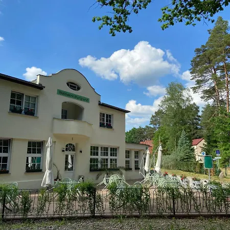 Waldwerk Wurlgrund Lychen-3