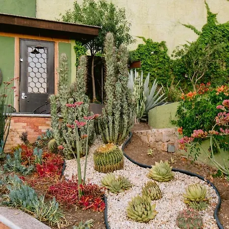 Terra Vista-3