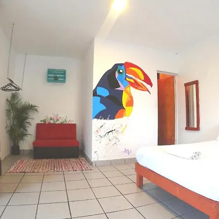 Kasa Guajira-2
