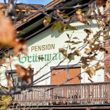 Pension Gruenwald-2