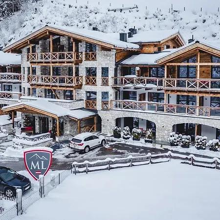 Avenida Mountain Lodges Saalbach Incl Joker Card-2