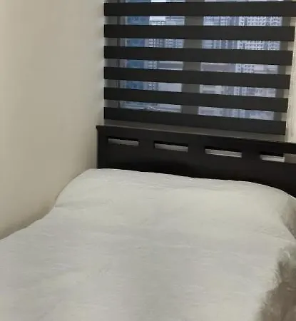 Pioneer Woodlands-2