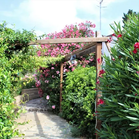 Residence Les Oliviers-2