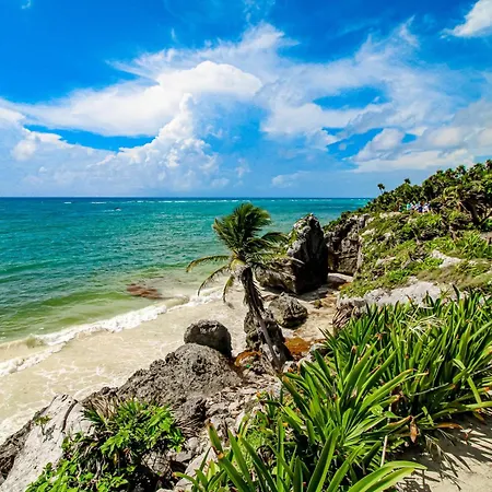 Bonita Tulum # 10 Ph, Aldea Zama-3