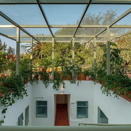 Nido Condesa-2