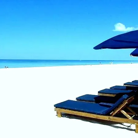 Tropic Winds Condo-3