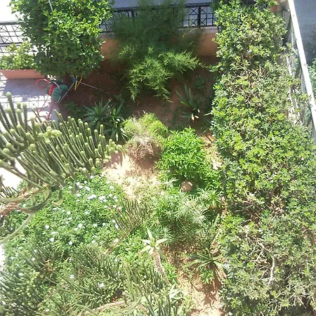 Stella Apartments-3