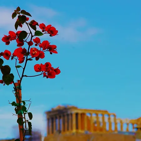 Absolute Athens Acropolis View-2