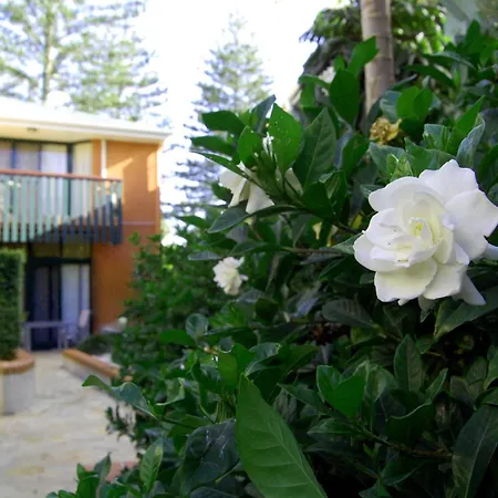 The Crest Byron Bay-2