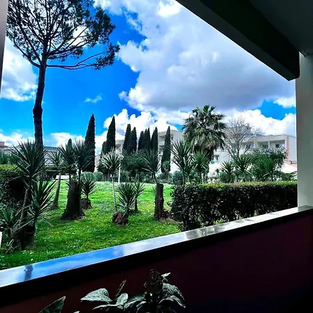 Aurelia Green Suite-3