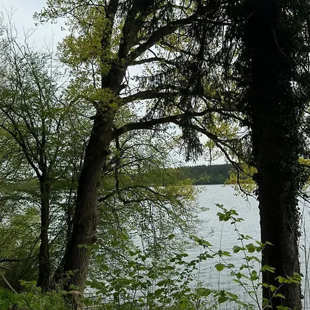 Waldwerk Wurlgrund Lychen-2