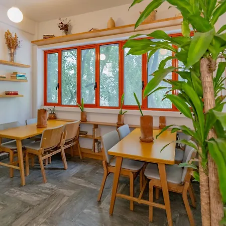 La Campechana Condesa-2