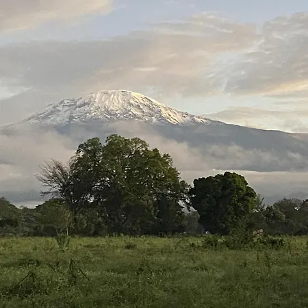 Kilimanjaro Lodge Cabins-3